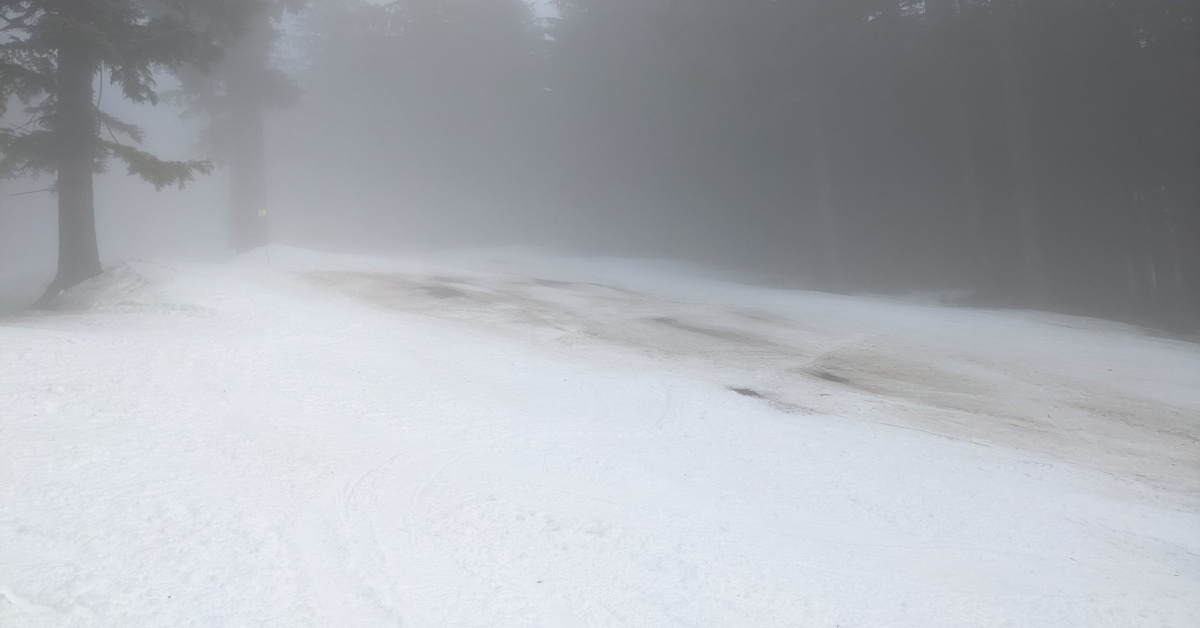 2022-03-29 Grouse mountain snow report