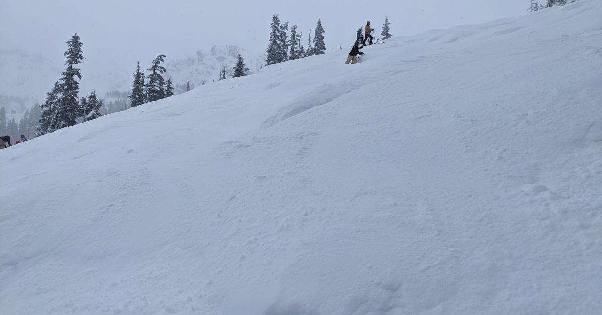 2025-11-24 Whistler Blackcomb snow report