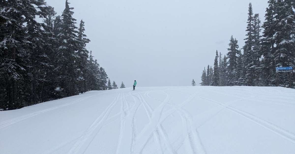 2026-03-25 Whistler Blackcomb snow report