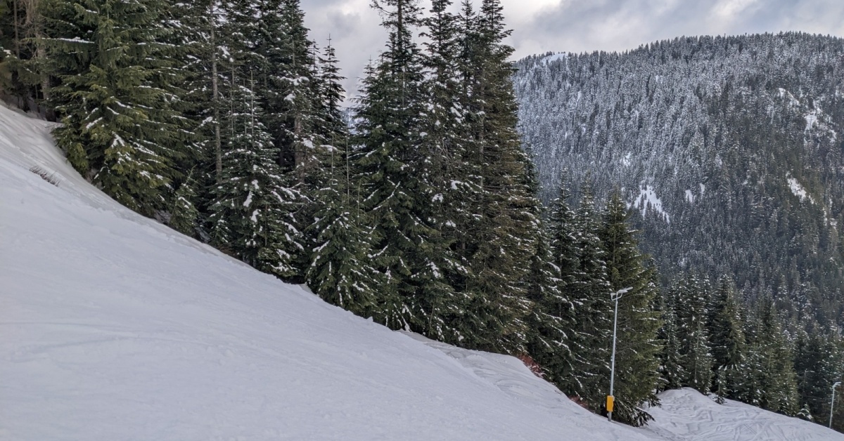 2022-01-31 Grouse mountain snow report