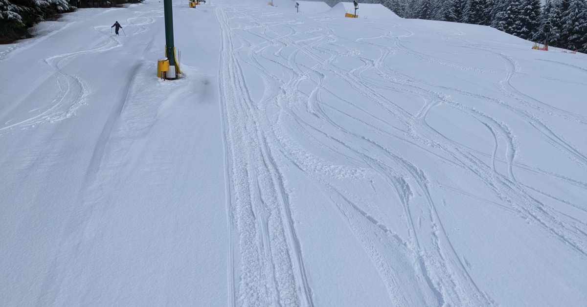 2022-02-14 Grouse mountain snow report