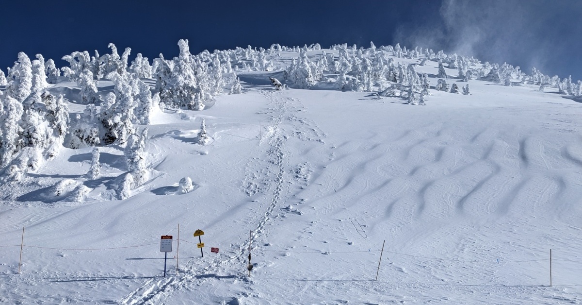 2022-02-22 Revelstoke Mountain Resort snow report