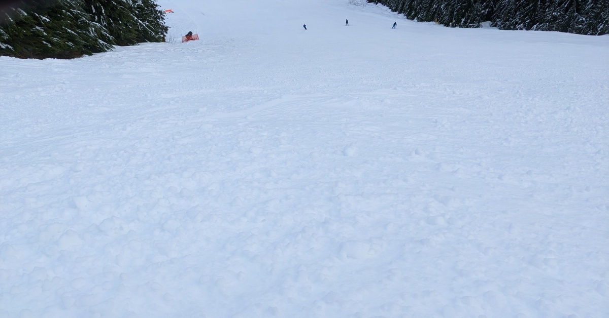 2023-01-19 Grouse mountain snow report