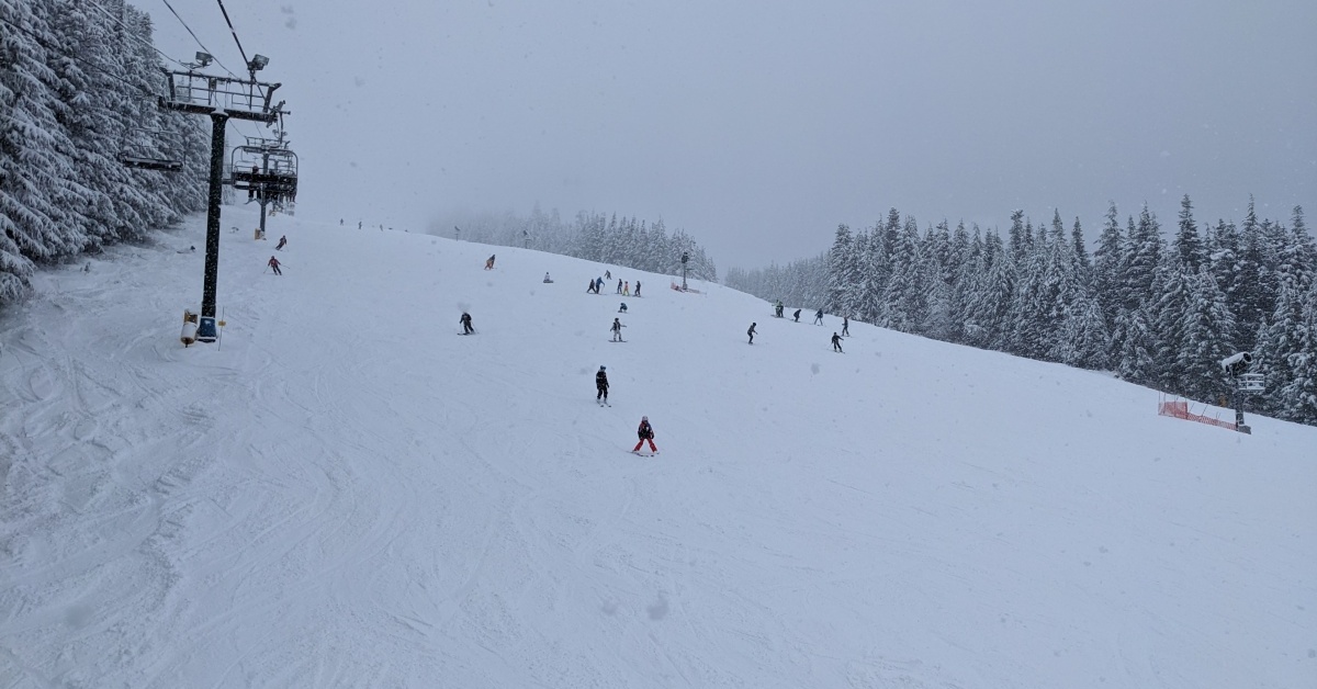 2023-02-01 Grouse mountain snow report