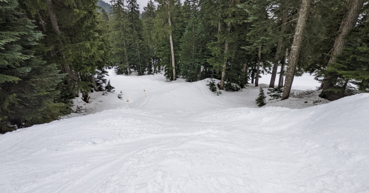 Announcing more run/lift pages for Grouse Mountain
